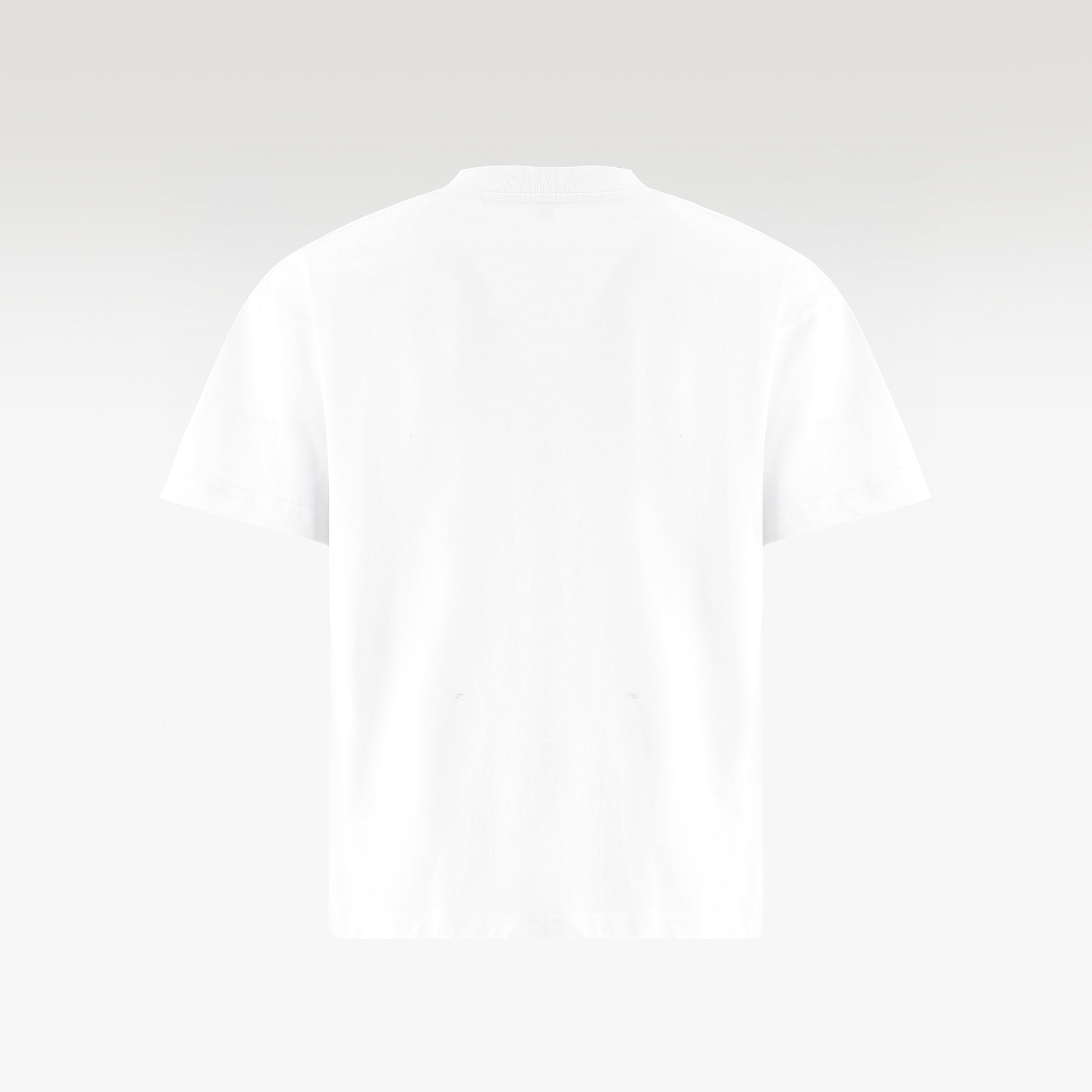 Botanica Cotton T-Shirt White | Green Graphic Boxy Fit – Unisex Streetwear