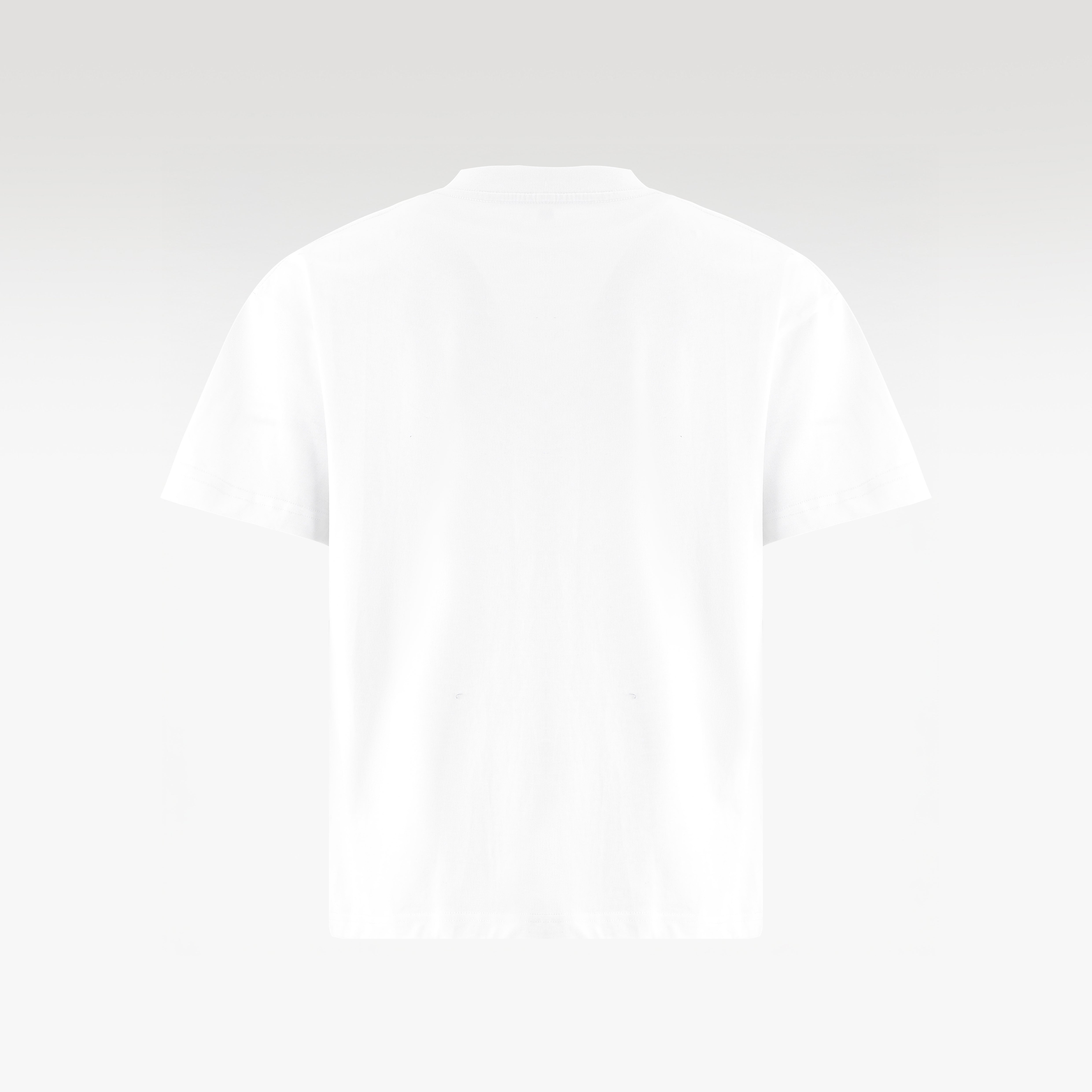 Botanica Cotton T-Shirt White | Green Graphic Boxy Fit – Unisex Streetwear