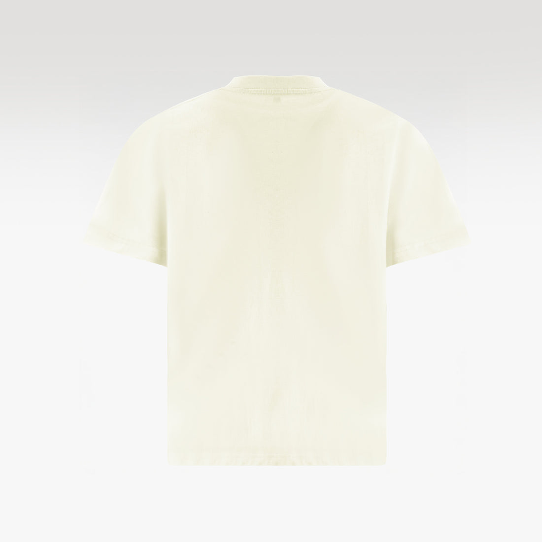 Parrot Cotton T-Shirt | Symmetrical Tropical Oversized Shirt Unisex Wide-Fit