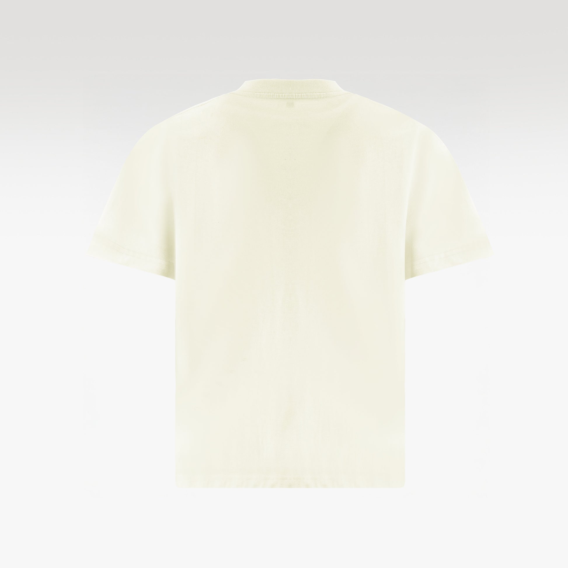 Parrot Cotton T-Shirt | Symmetrical Tropical Oversized Shirt Unisex Wide-Fit