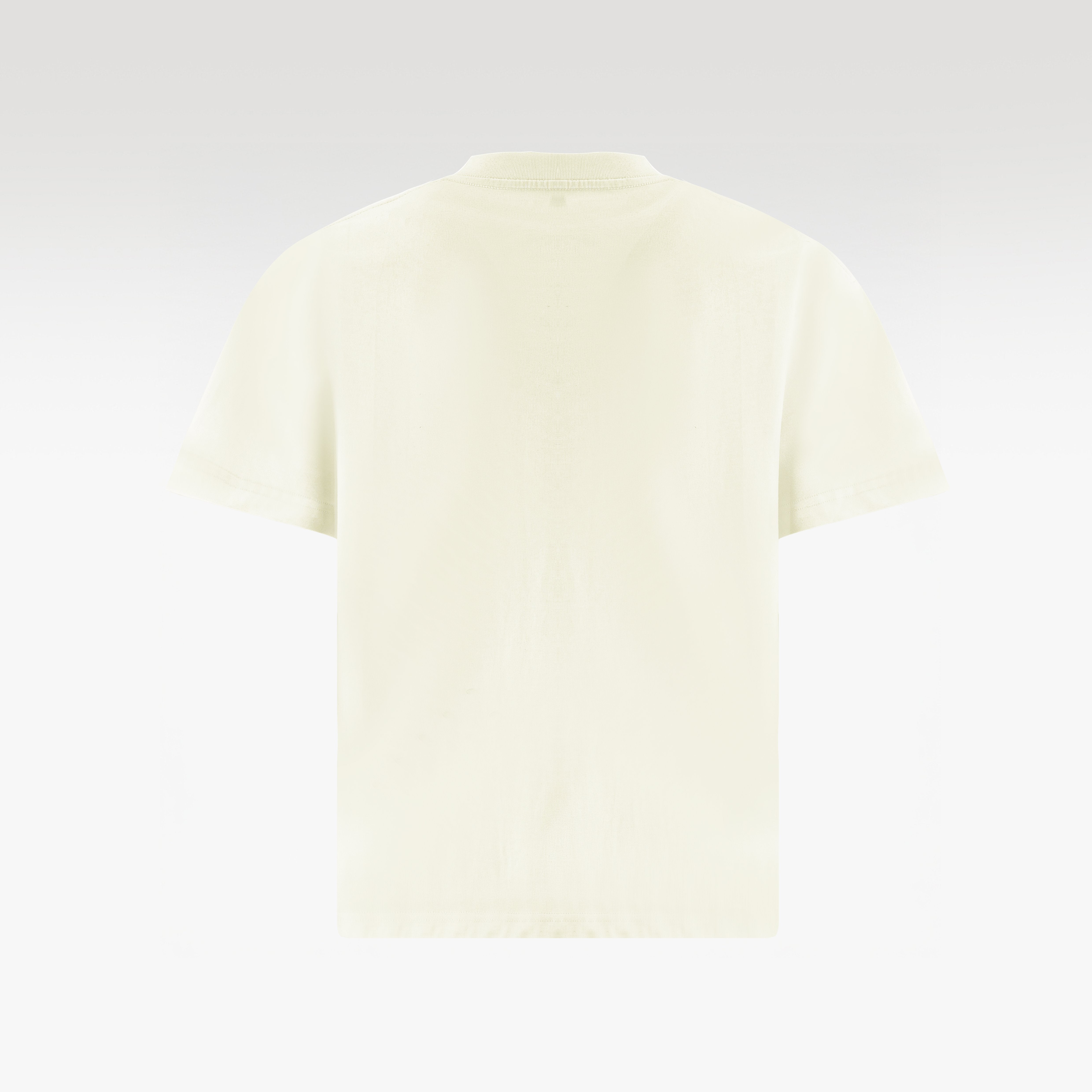 Parrot Cotton T-Shirt | Symmetrical Tropical Oversized Shirt Unisex Wide-Fit