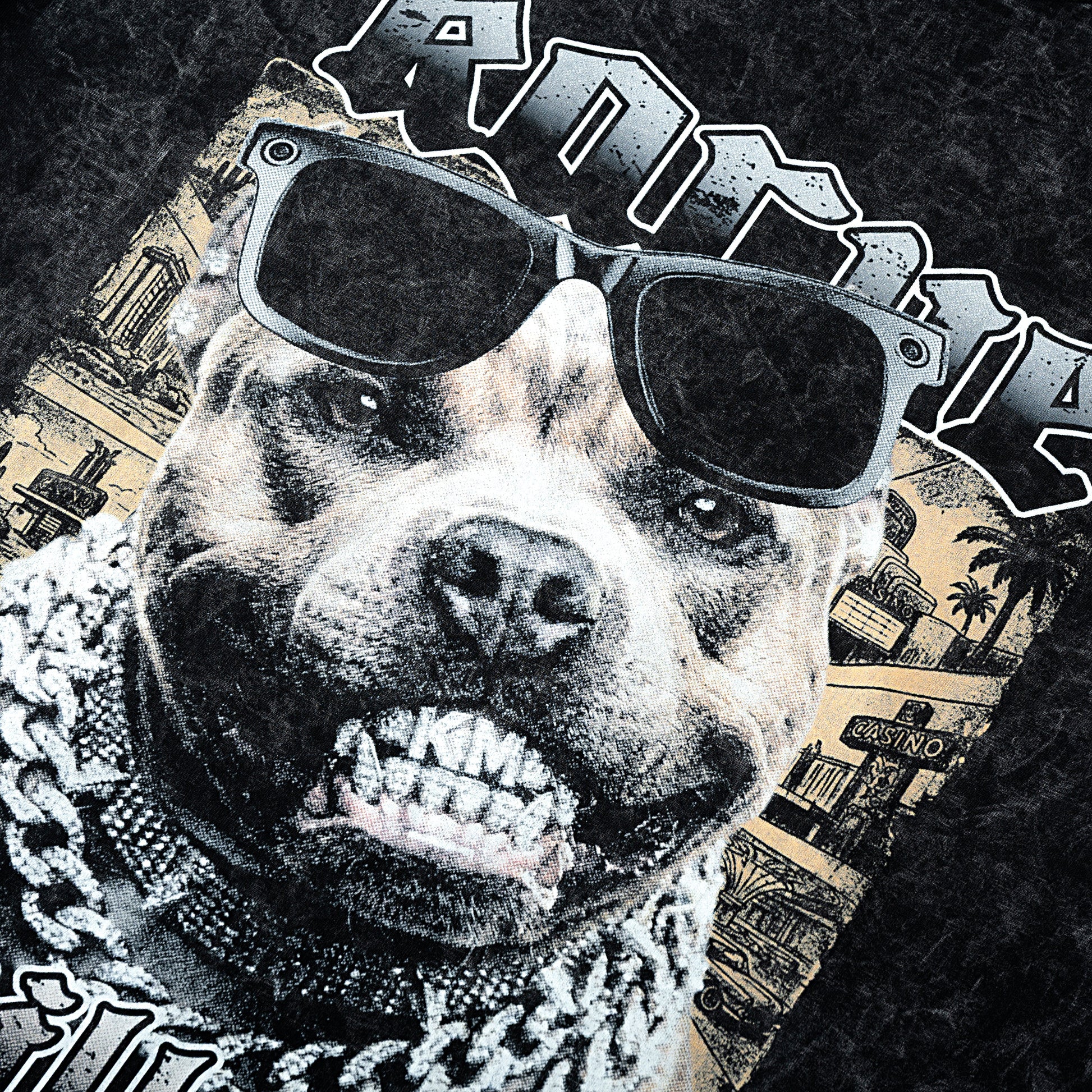 STREET PITBULL WASH T- SHIRT | Vintage Acid Wash Graphic Tee - Gothic Boxy Fit Streetwear Shirt