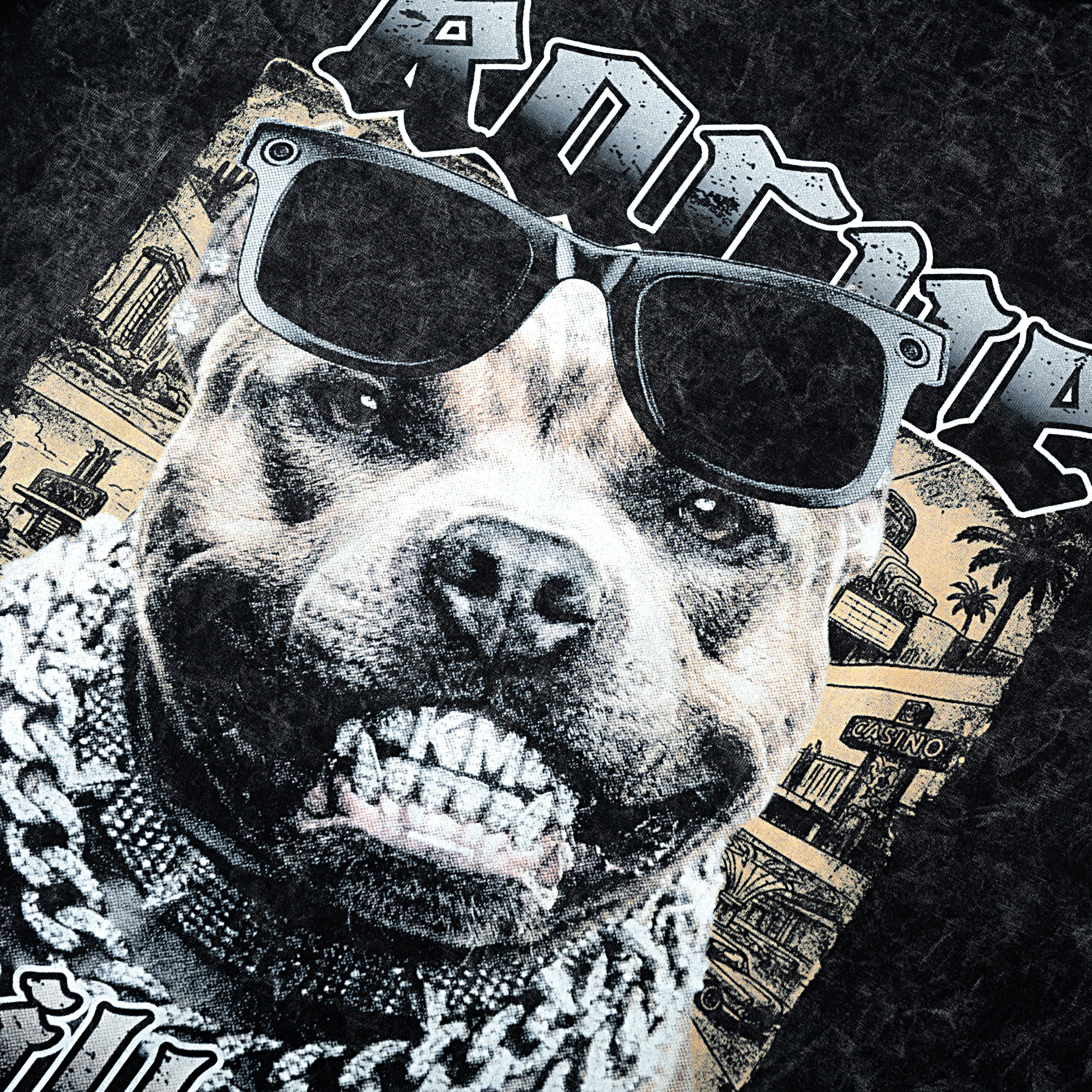 STREET PITBULL WASH T- SHIRT | Vintage Acid Wash Graphic Tee - Gothic Boxy Fit Streetwear Shirt