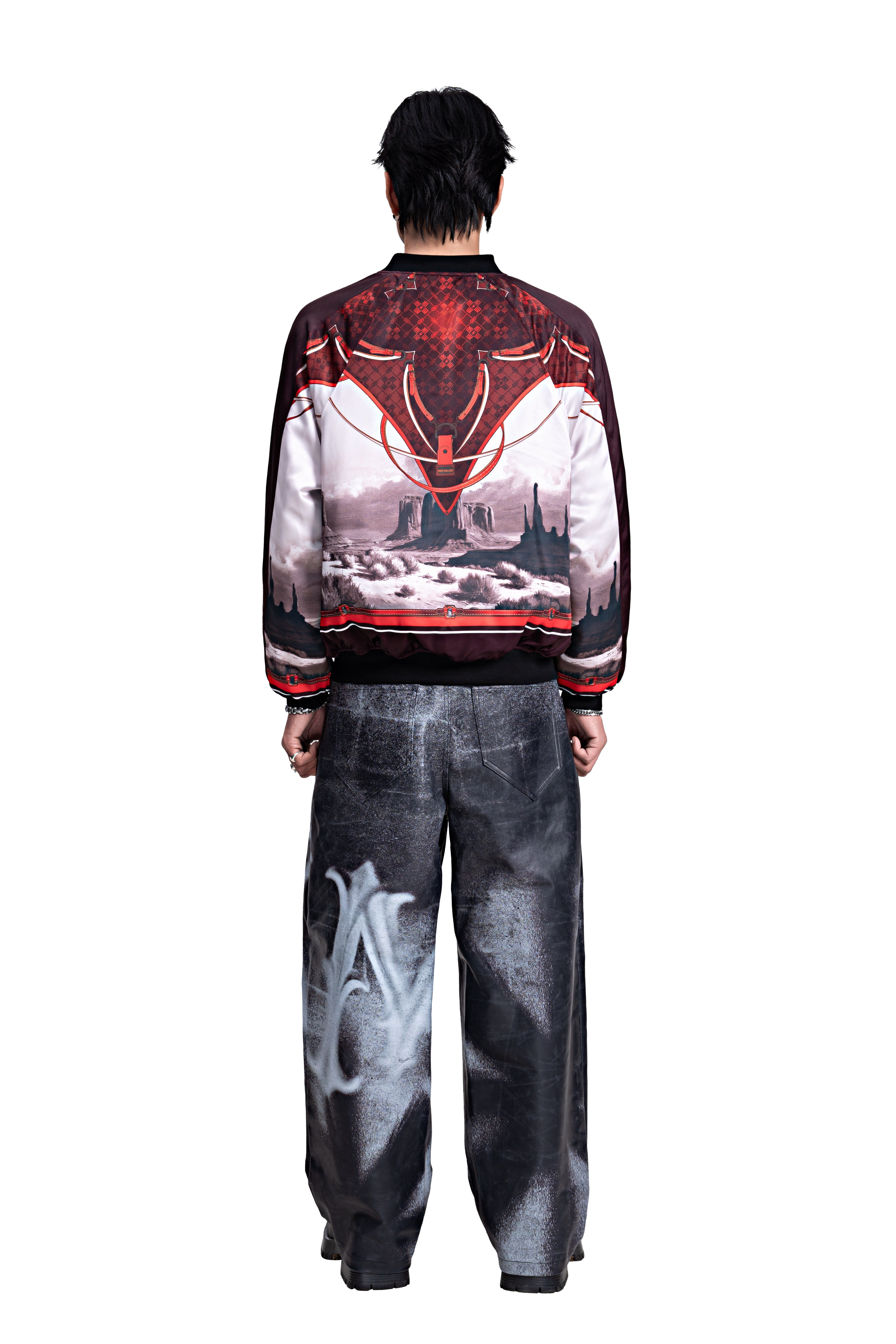 The Monarch Bomber Jacket | Canyon Landscape Print Urban Harness Statement